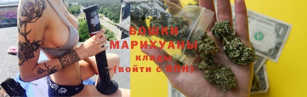 дживик Инта