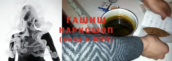 дживик Инта