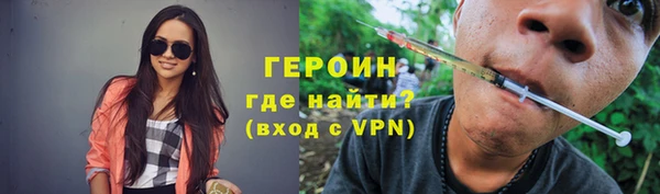 дживик Инта