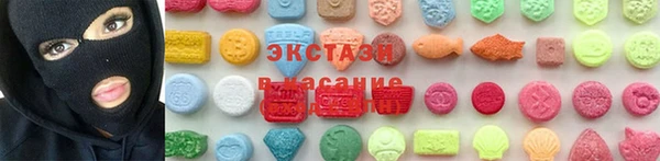 дживик Инта