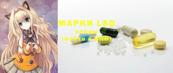 дживик Инта