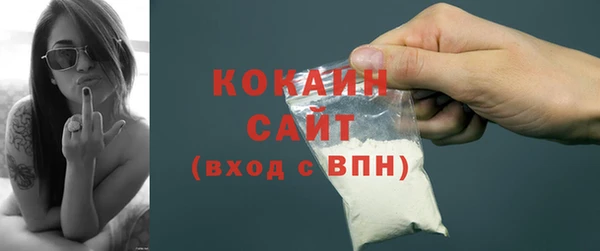 дживик Инта