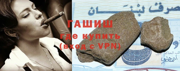 дживик Инта