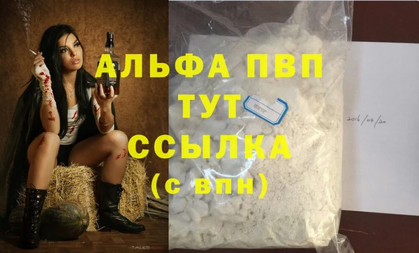 дживик Инта