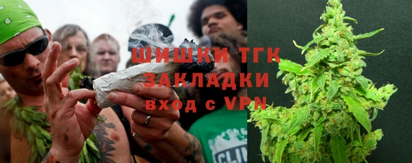 дживик Инта
