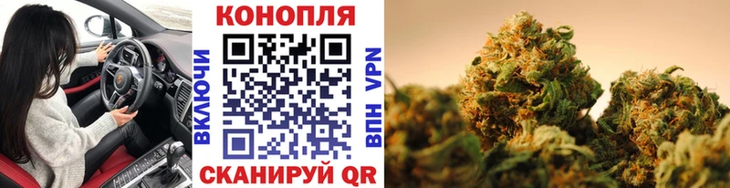 Канабис SATIVA & INDICA Купить Пионерский